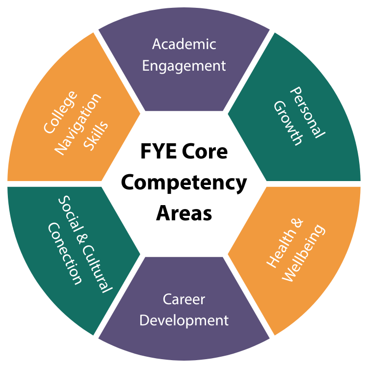 Academic Engagement, Personal Growth, Health and Wellbeing, Career Development. Social and Cultural Connection, and UConn 101
