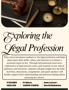 Exploring the Legal Profession