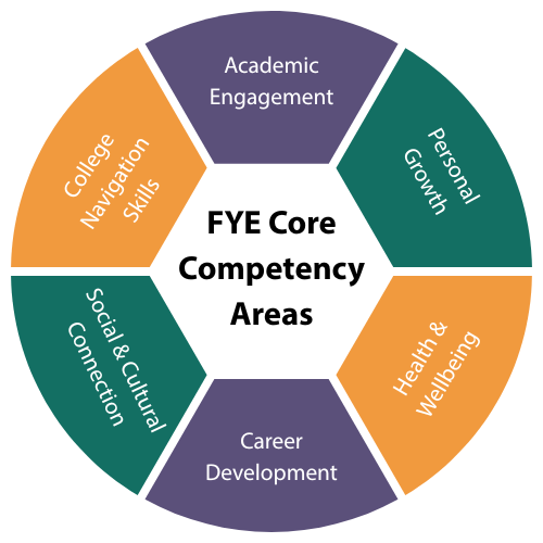 Academic Engagement, Personal Growth, Health and Wellbeing, Career Development. Social and Cultural Connection, and UConn 101